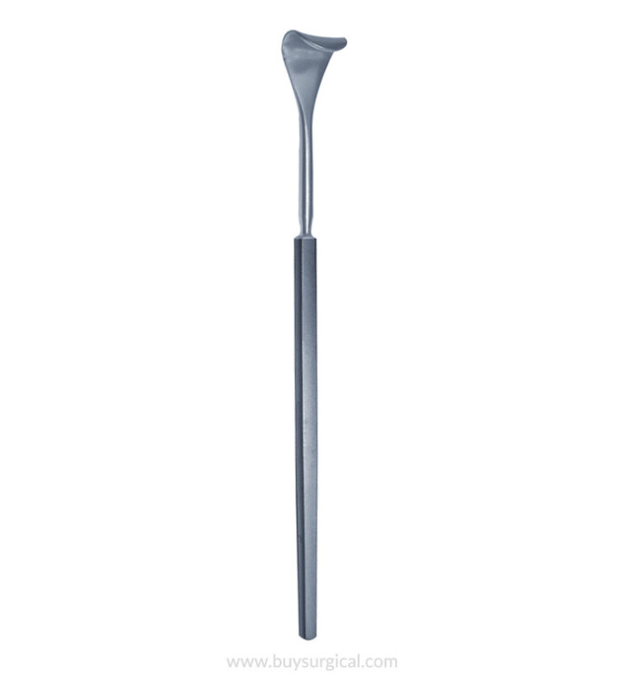 Desmarres Eye Lid Retractor
