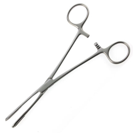 Rampley Sponge Holding Forceps